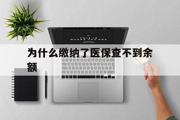 迪庆最新为什么缴纳了医保查不到余额方法分析(最方便真实的迪庆医保交了费怎么查不到方法)