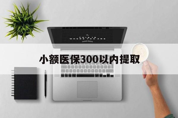 迪庆最新小额医保300以内提取方法分析(最方便真实的迪庆小额医保300以内提取中介方法)
